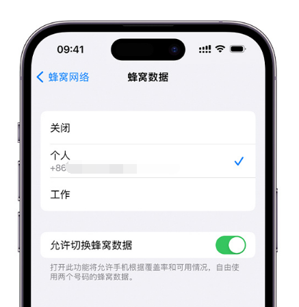 钦南苹果维修服务分享如何在iPhone上使用双卡 